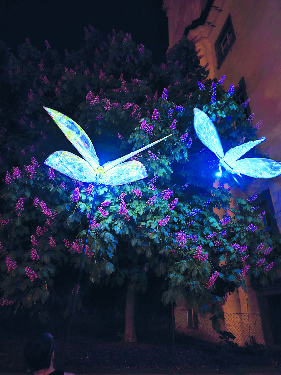 Obrazek-WhatsApp-2024-05-10-v-13.02.49_64e72fb0-scaled